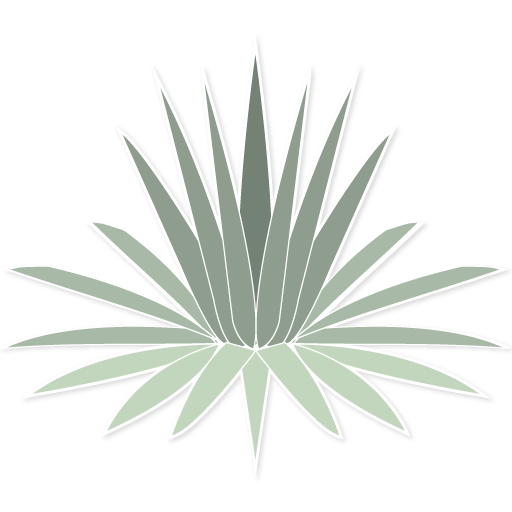 Privacy practices agave